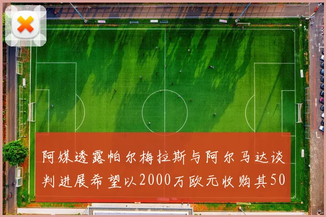 阿媒透露帕尔梅拉斯与阿尔马达谈判进展希望以2000万欧元收购其50所有权